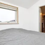 4 Star In Blokhus-by Traum * Blokhus